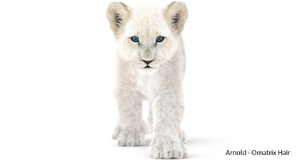Animated White Fur Lion Cub 3D Model