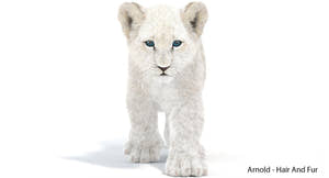 Animated White Fur Baby Lion 3D Model Thumbnail