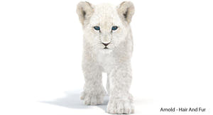 Animated White Fur Baby Lion 3D Model Thumbnail
