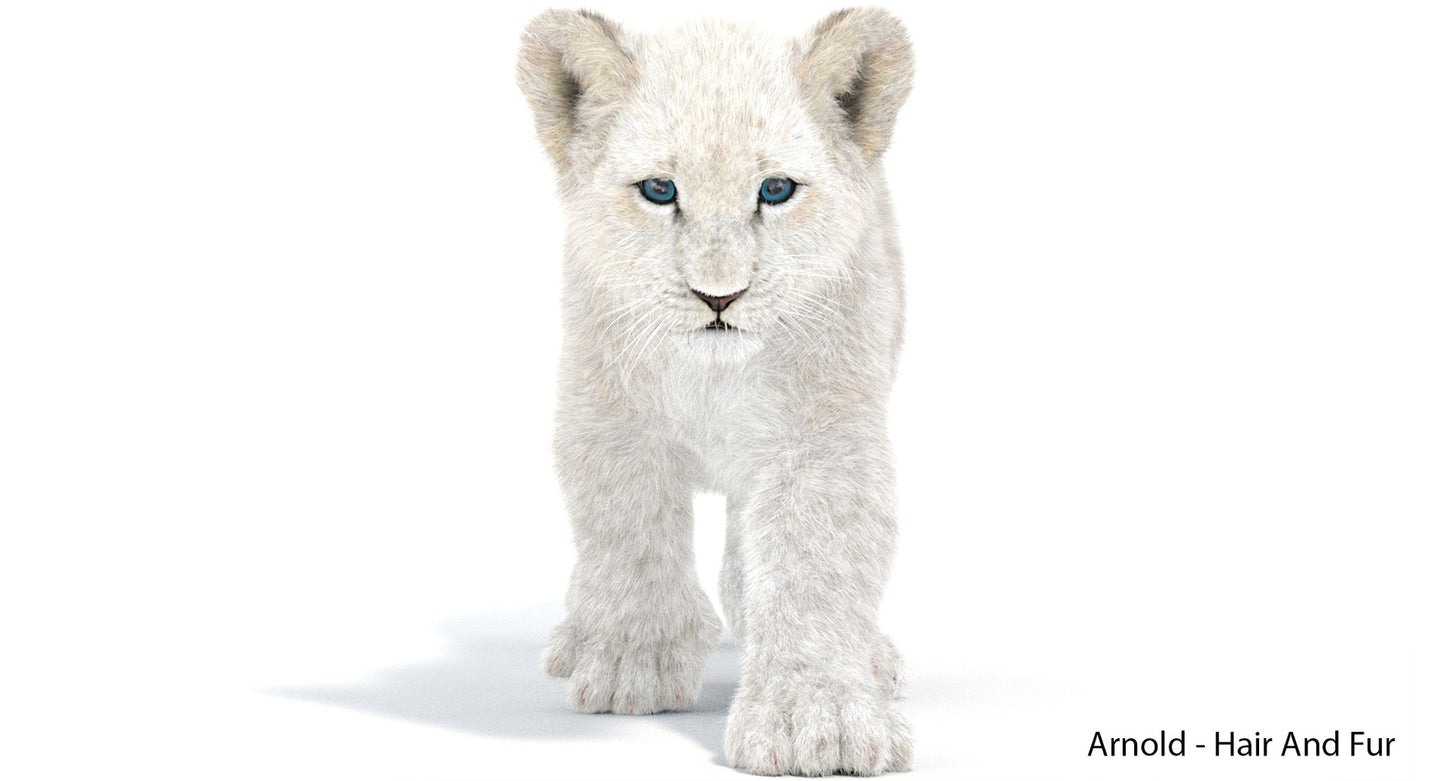 Animated White Fur Lion Cub 3D Model