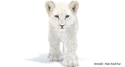 Animated White Fur Lion Cub 3D Model