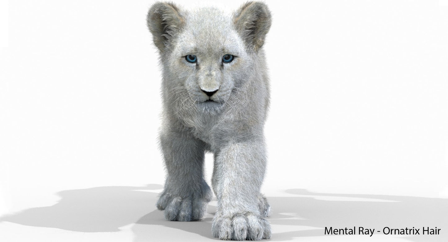 Animated White Fur Lion Cub 3D Model