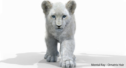 Animated White Fur Lion Cub 3D Model