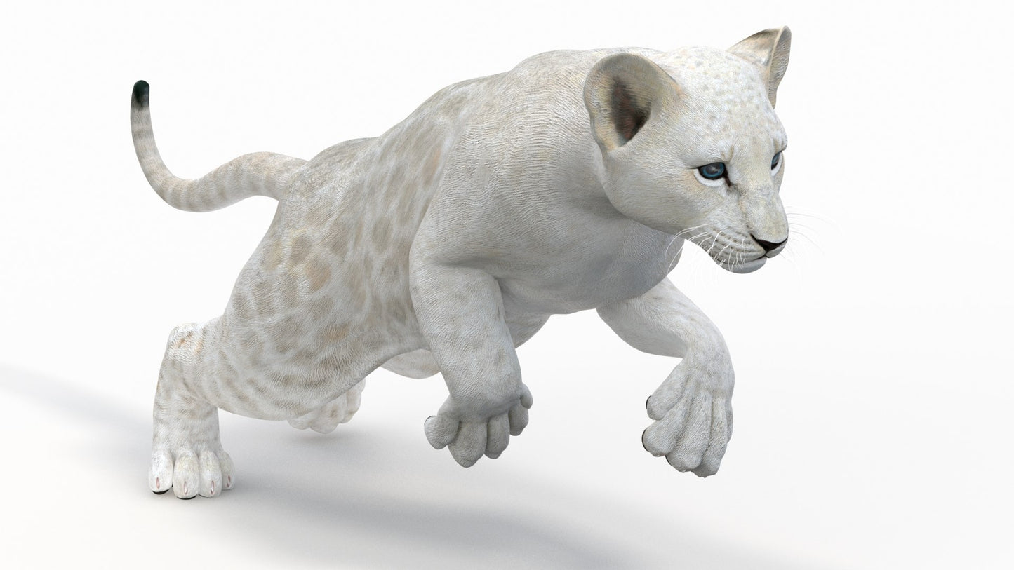 Animated White Lion Cub 3D Model
