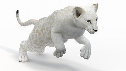 Animated White Lion Cub 3D Model