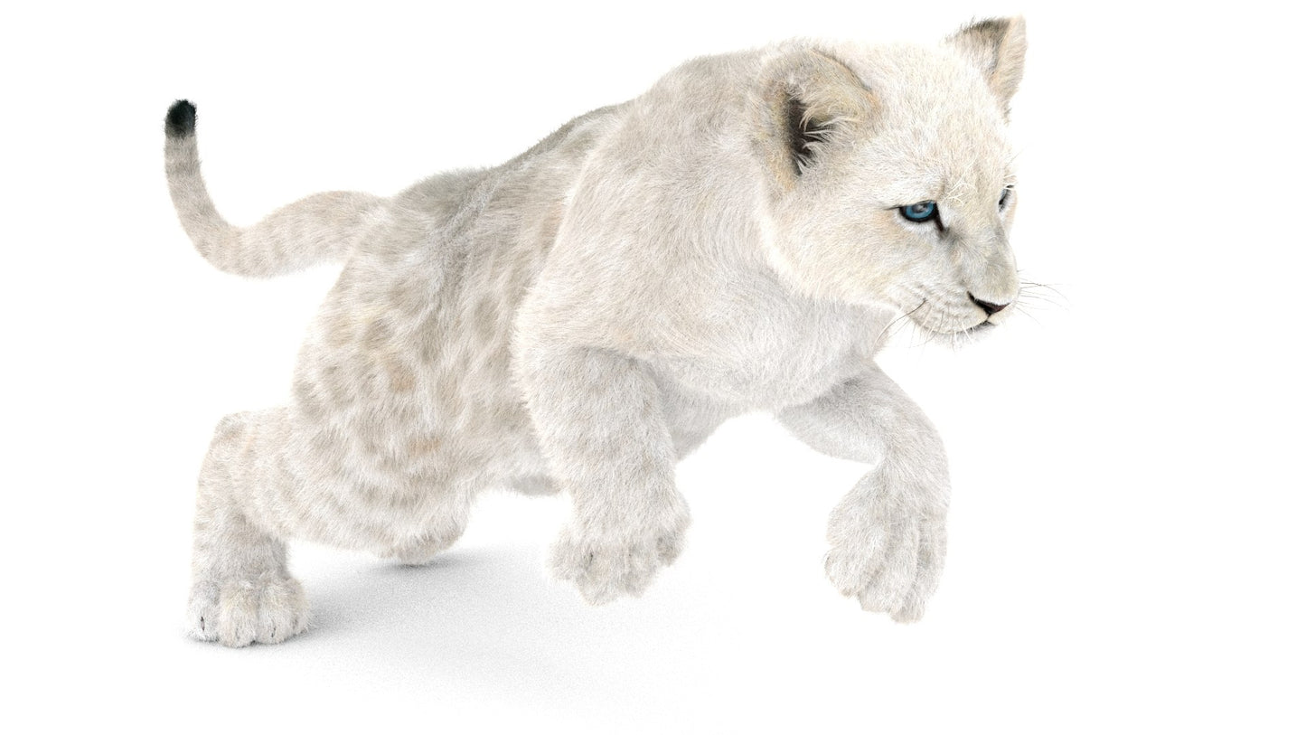 Animated White Fur Lion Cub 3D Model