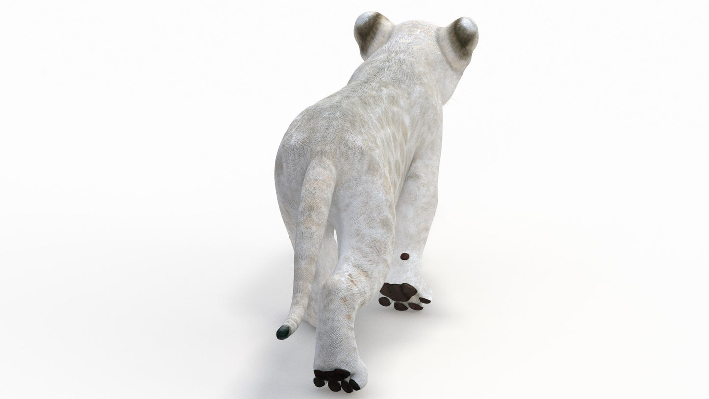 Animated White Lion Cub 3D Model