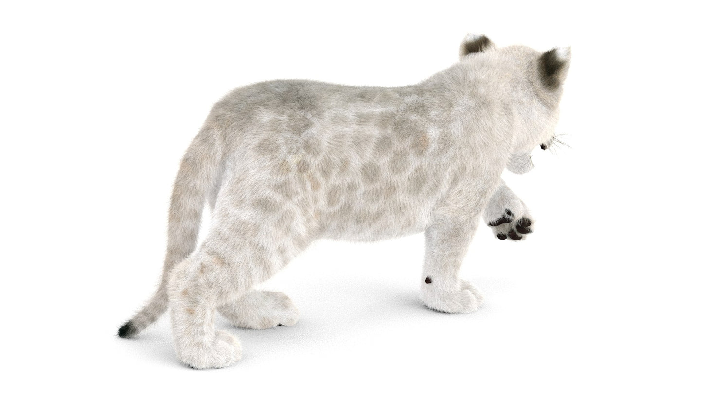 Animated White Fur Lion Cub 3D Model