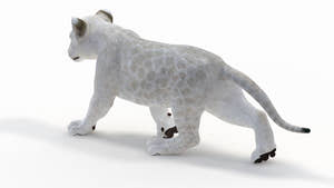 Animated Lion Cub 3D Model Bundle – Natural & White Thumbnail