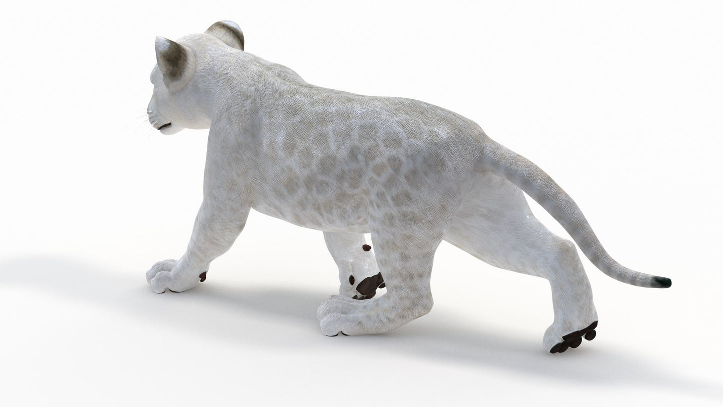 Animated White Lion Cub 3D Model
