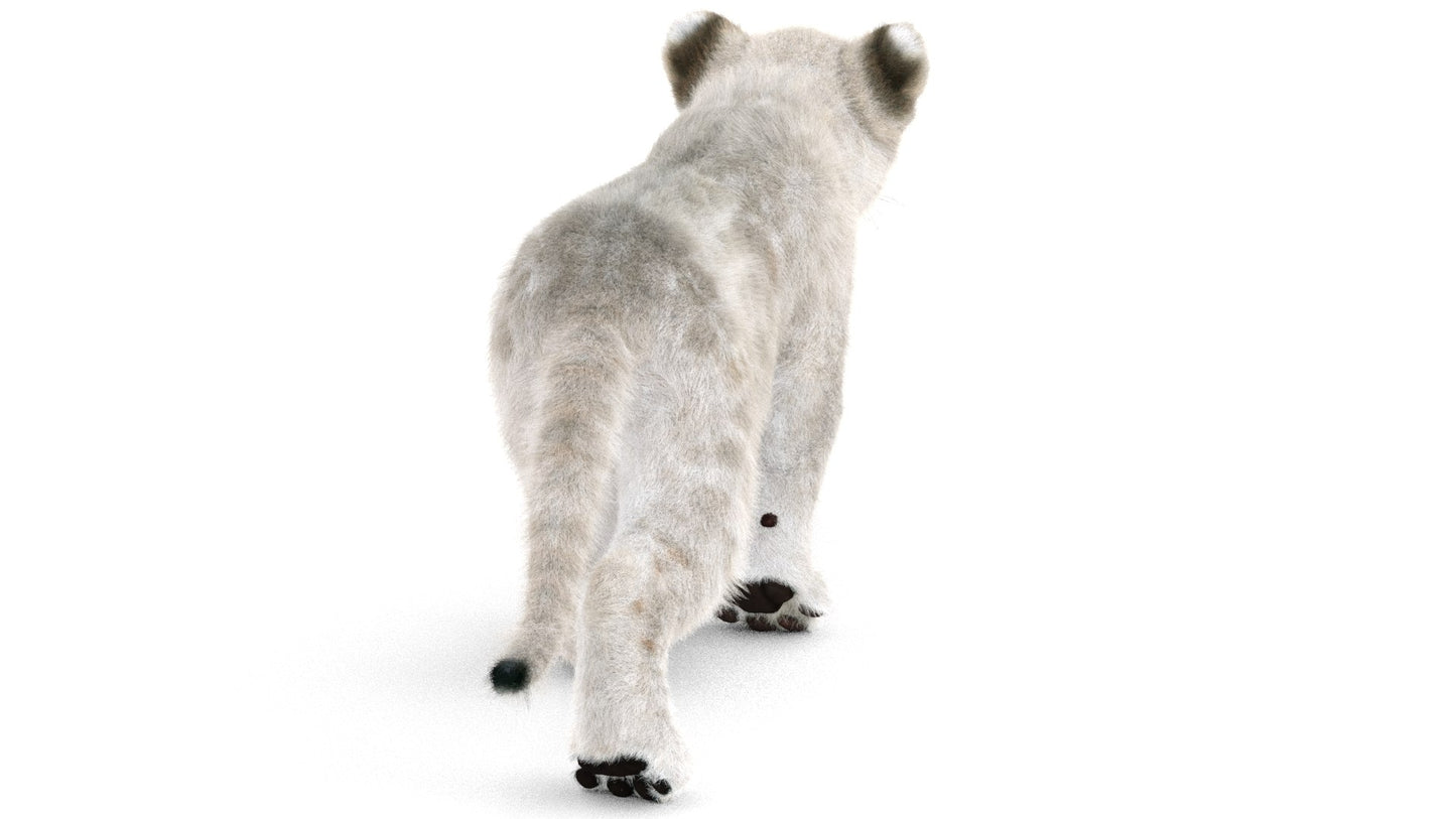Animated White Fur Lion Cub 3D Model