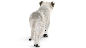 Animated White Lion Cub 3D Model with Fur Thumbnail