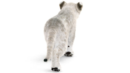 Animated White Fur Lion Cub 3D Model