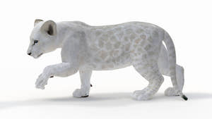 Animated Lion Cub 3D Model Bundle – Natural & White Thumbnail
