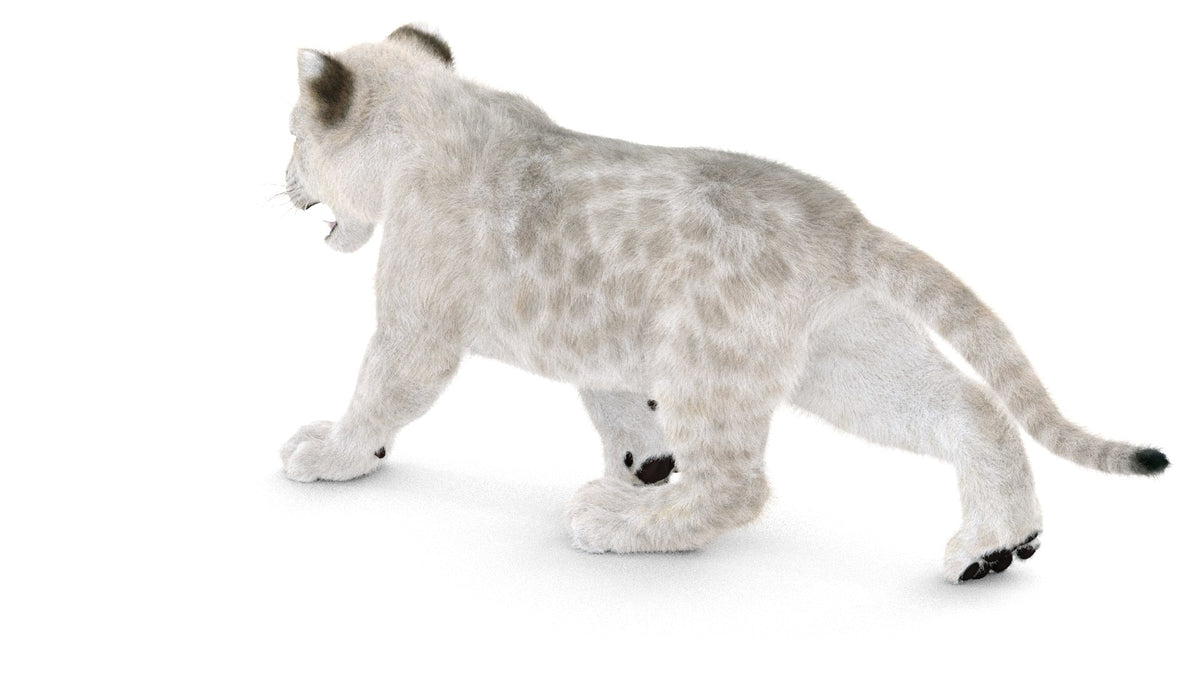 Animated White Lion Cub 3D Model with Fur