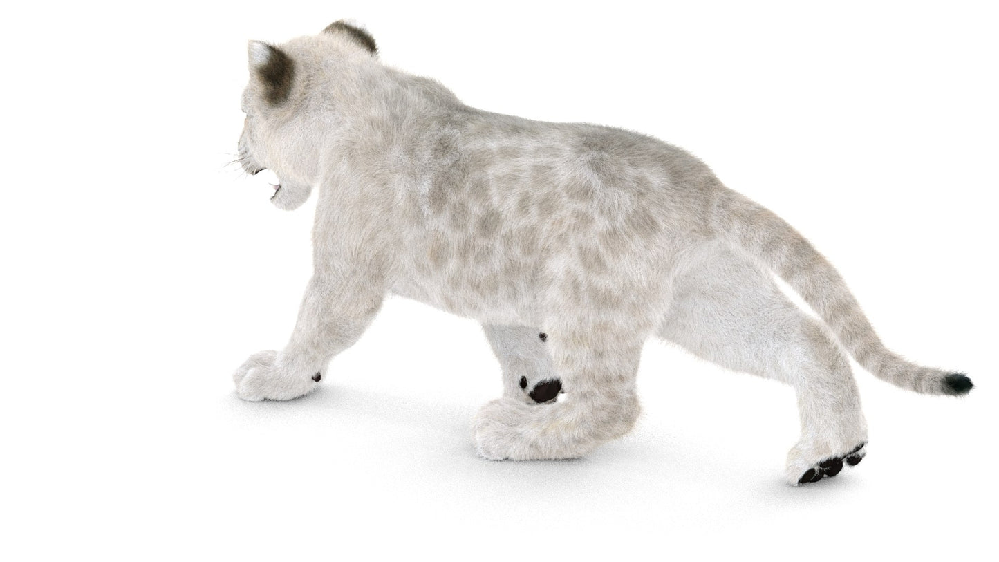 Animated White Fur Lion Cub 3D Model