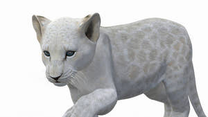 Animated White Lion Cub 3D Model for Download Thumbnail