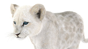 Animated White Lion Cub 3D Model with Fur Thumbnail