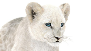 Animated White Lion Cub 3D Model with Fur Thumbnail