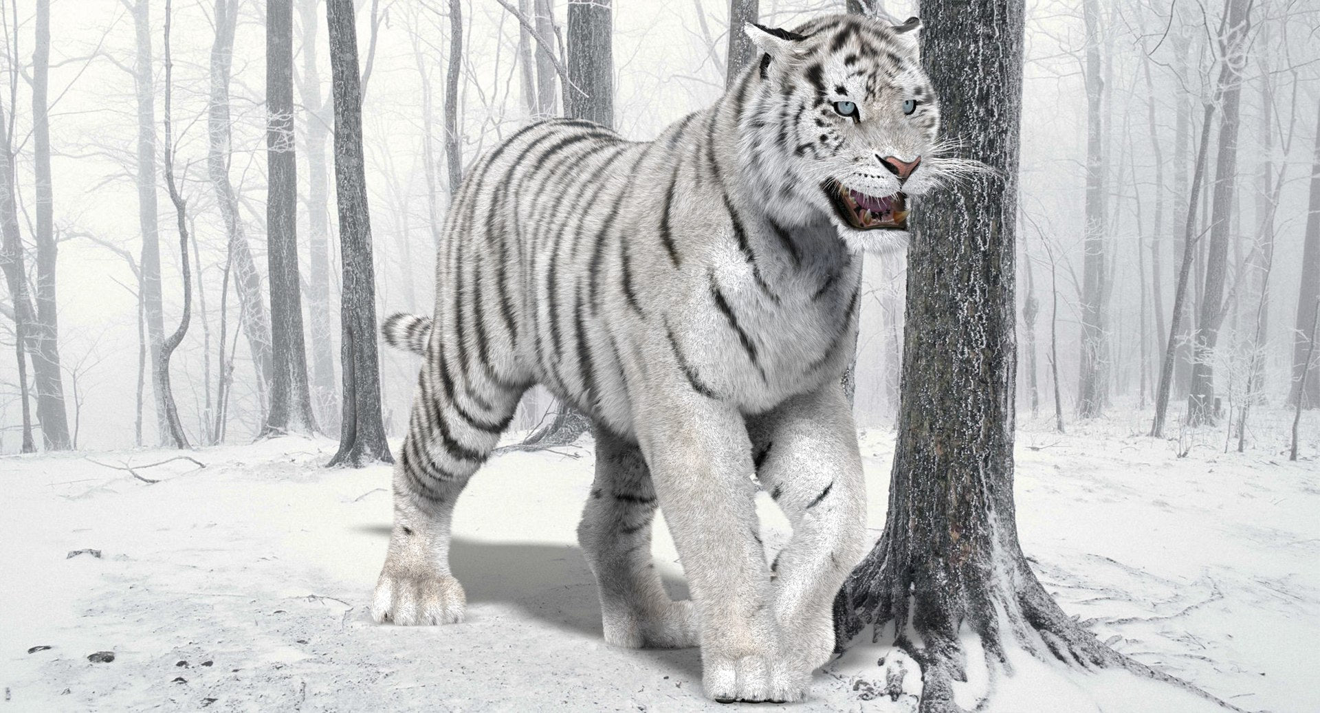 Animated White Siberian Tiger 3D Model with Fur