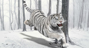 Animated White Siberian Tiger 3D Model with Fur Thumbnail