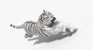 Animated White Siberian Tiger 3D Model with Fur Thumbnail