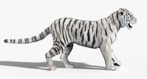 Animated White Siberian Tiger 3D Model with Fur Thumbnail