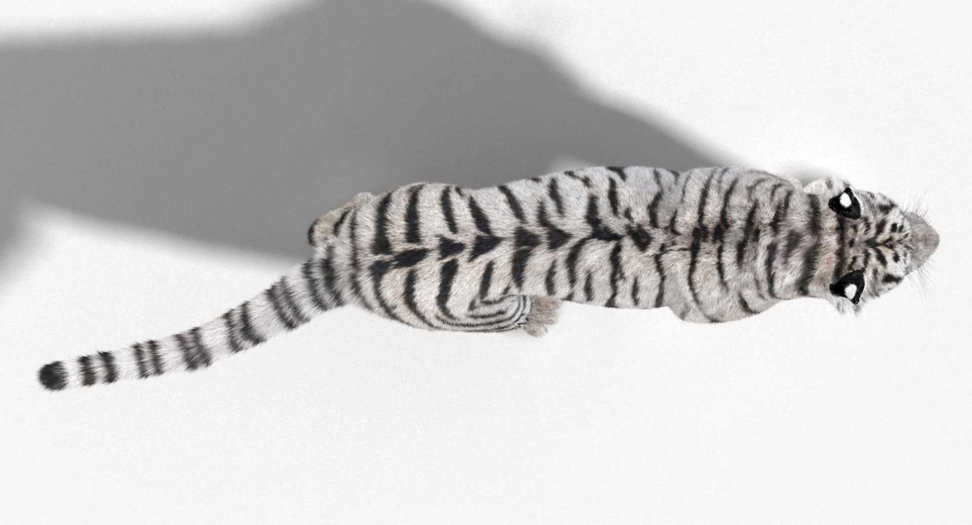 Animated White Siberian Tiger 3D Model Fur