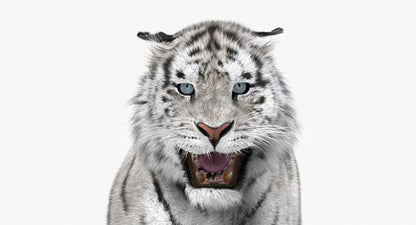 Animated White Siberian Tiger 3D Model Fur