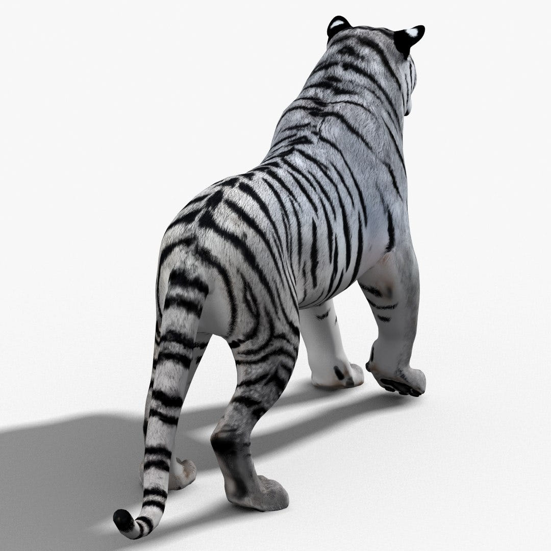 Animated White Siberian Tiger 3D Model - Hair and Fur, Detailed Mouth