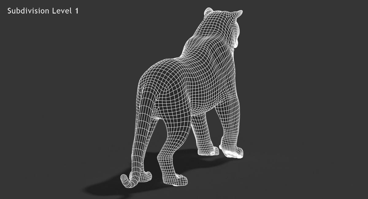 Animated White Siberian Tiger 3D Model - Hair and Fur, Detailed Mouth