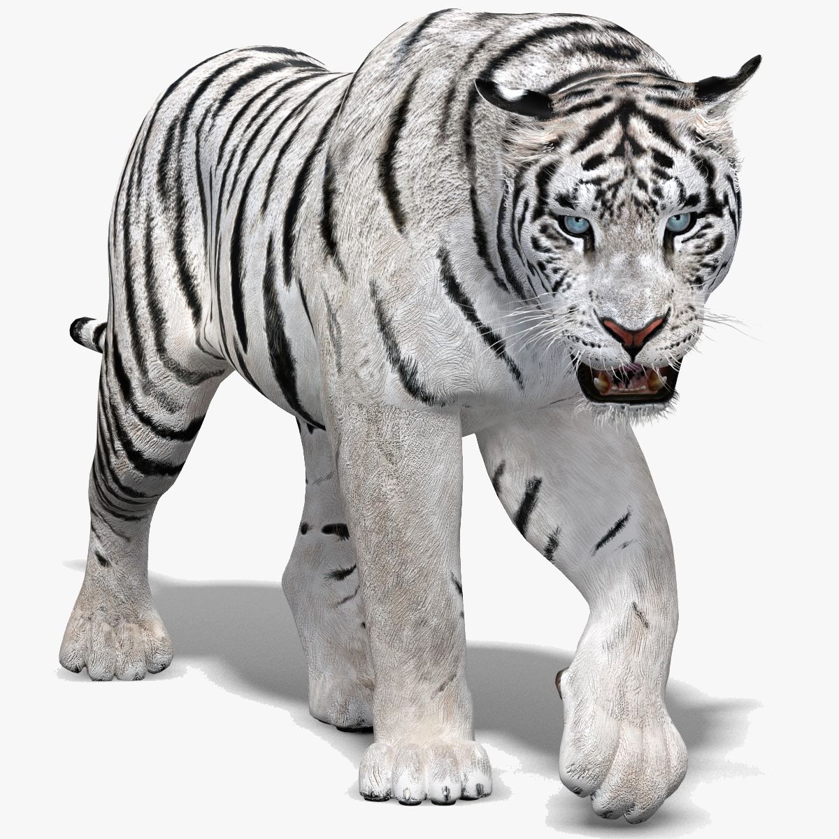 Animated Siberian white tiger 3D model, low-poly game-ready