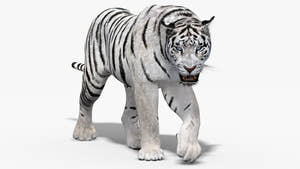 Animated White Tiger 3D Model Thumbnail