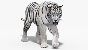 Animated White Tiger 3D Model Thumbnail