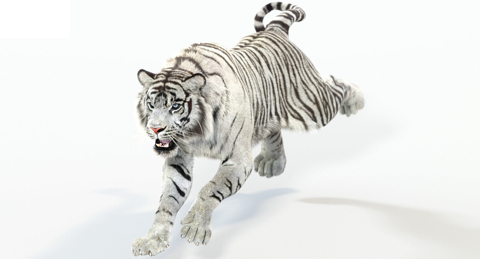 Animated White Tiger 3D Model with Fur