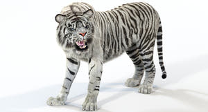 Animated White Tiger 3D Model with Fur Thumbnail