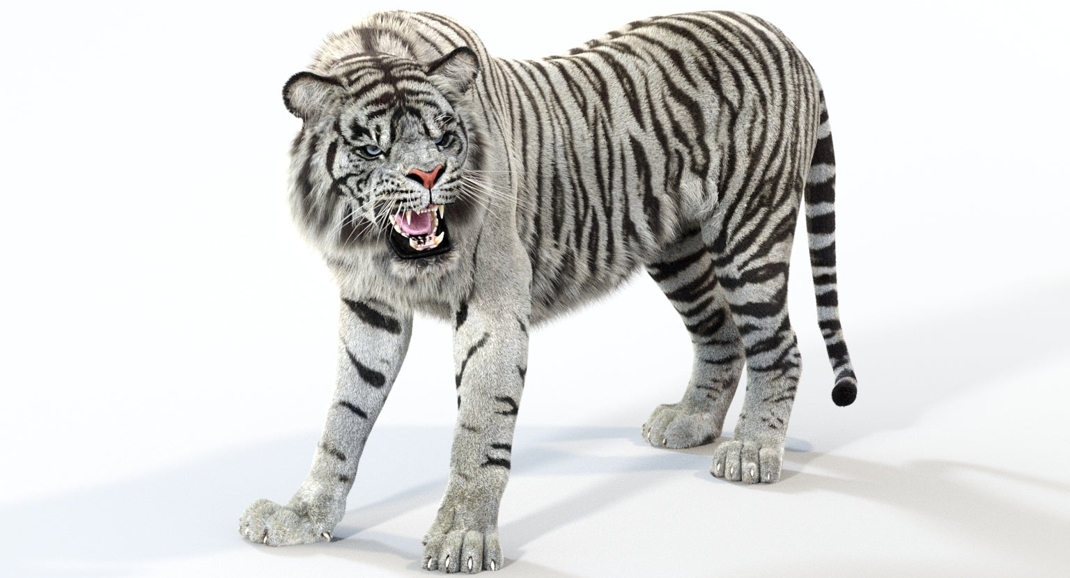 Animated White Tiger 3D Model with Fur