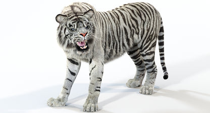 Animated White Tiger 3D Model with Fur