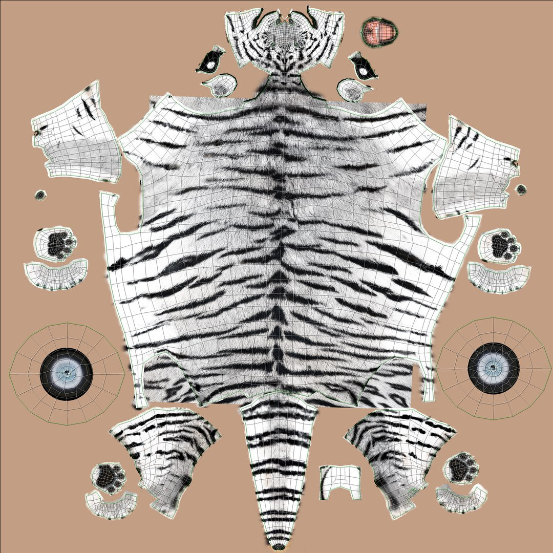Animated white tiger 3D model body uvs