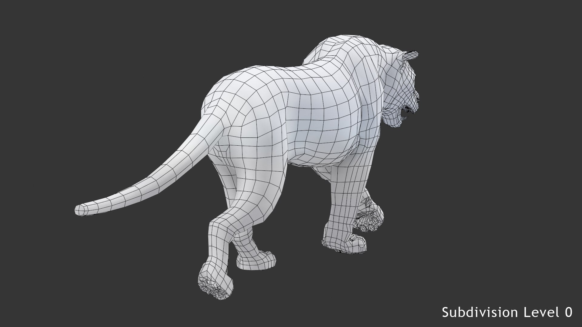 Animated white tiger 3D model wireframe view, subdivision level 0