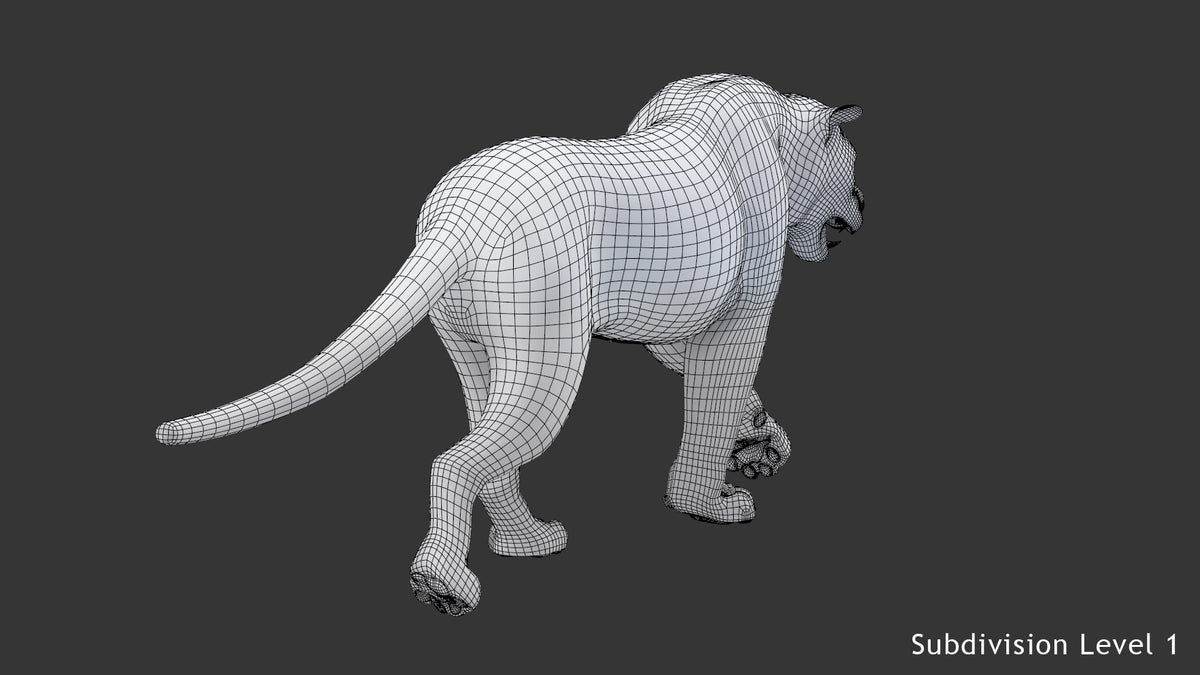 Animated white tiger 3D model wireframe view, subdivision level 1