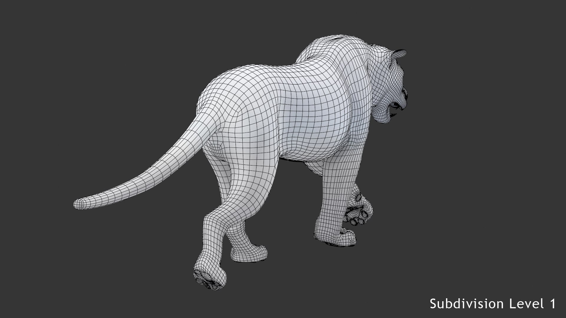 Animated white tiger 3D model wireframe view, subdivision level 1