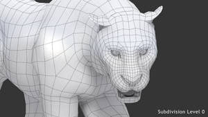 Animated white tiger 3D model, head close up wireframe view, subdivision level 0 Thumbnail