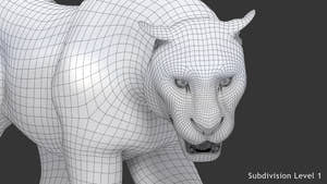 Animated white tiger 3D model, head close up wireframe view, subdivision level 1 Thumbnail