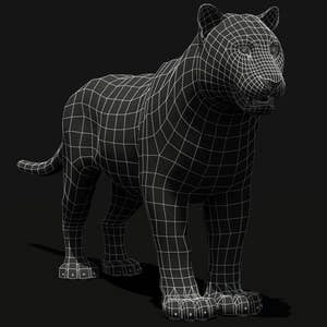 Tiger Amur White Animated 3D Model Thumbnail