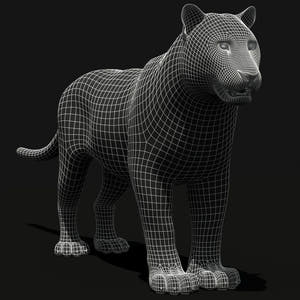 Tiger Amur White Animated 3D Model Thumbnail