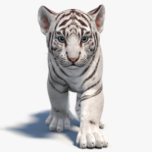 Animated White Tiger Cub 3D Model Thumbnail