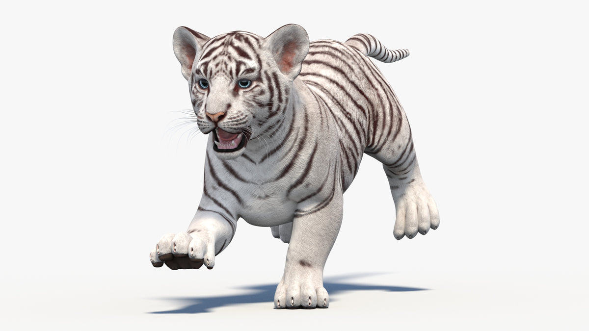 Animated White Tiger Cub 3D Model - Game-Ready