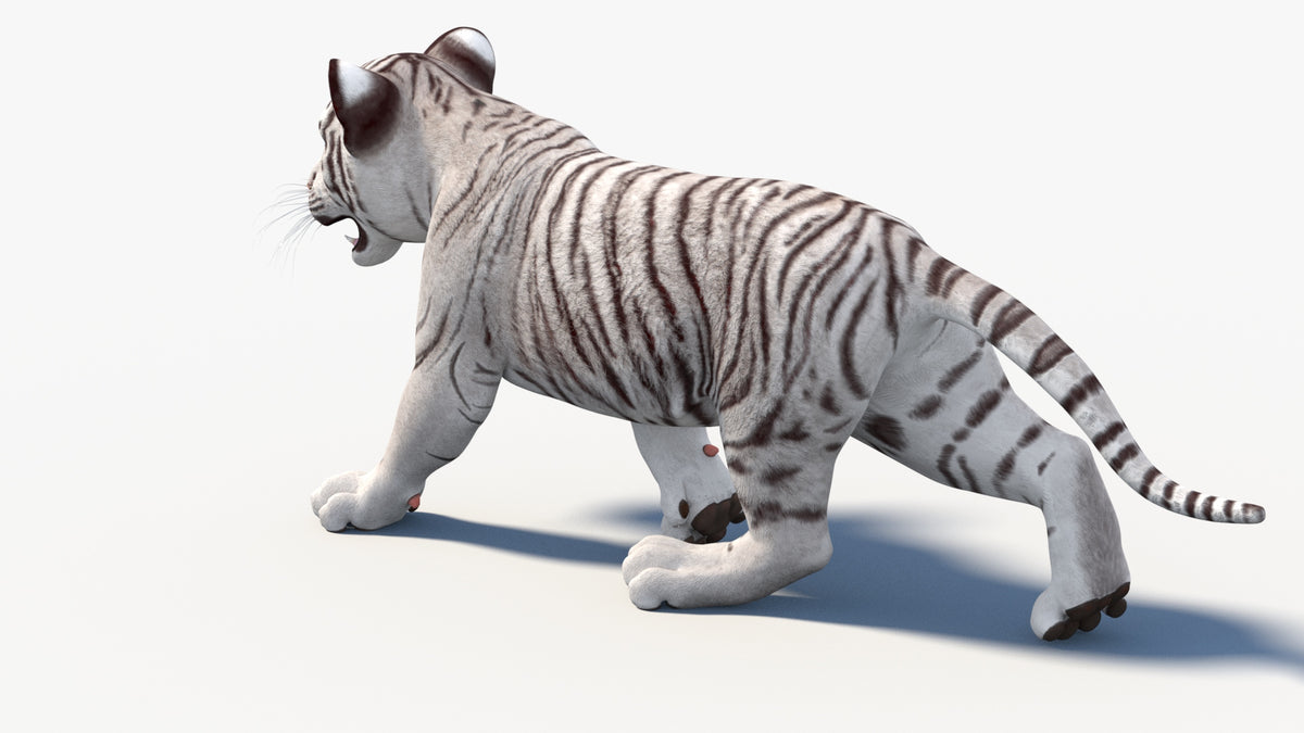 Animated White Tiger Cub 3D Model - Game-Ready