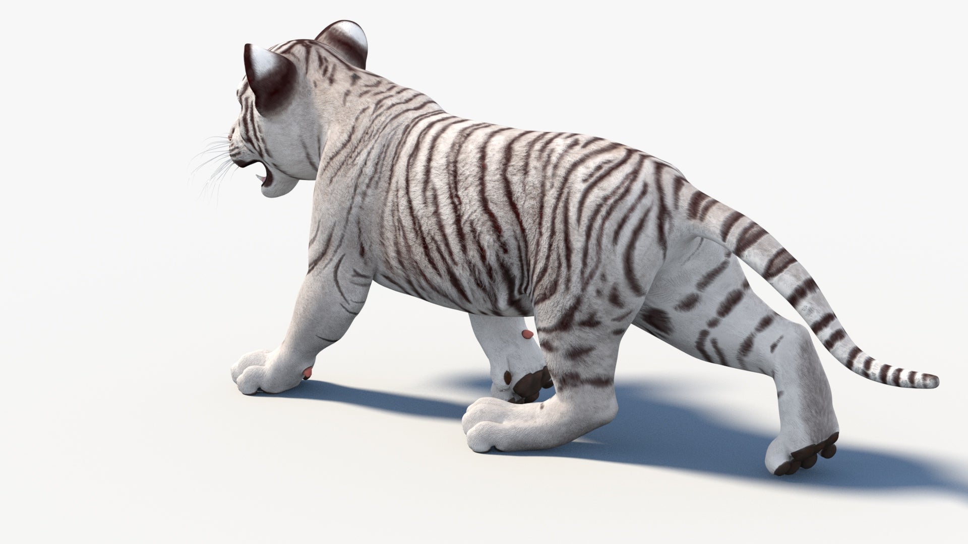 Animated White Tiger Cub 3D Model